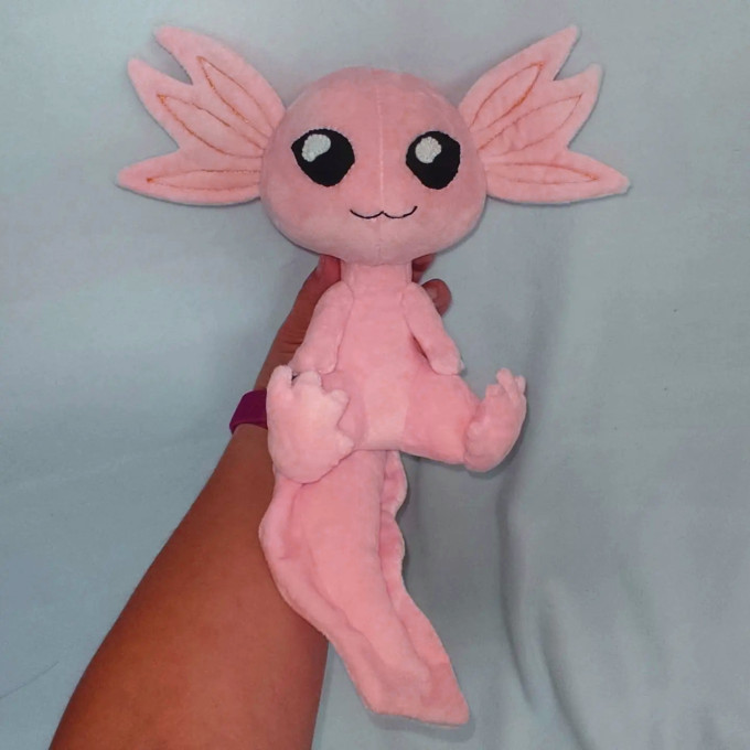 Plush axolotl, amphibian. Handmade soft toy. Buy axolotl softie, personalized plush.